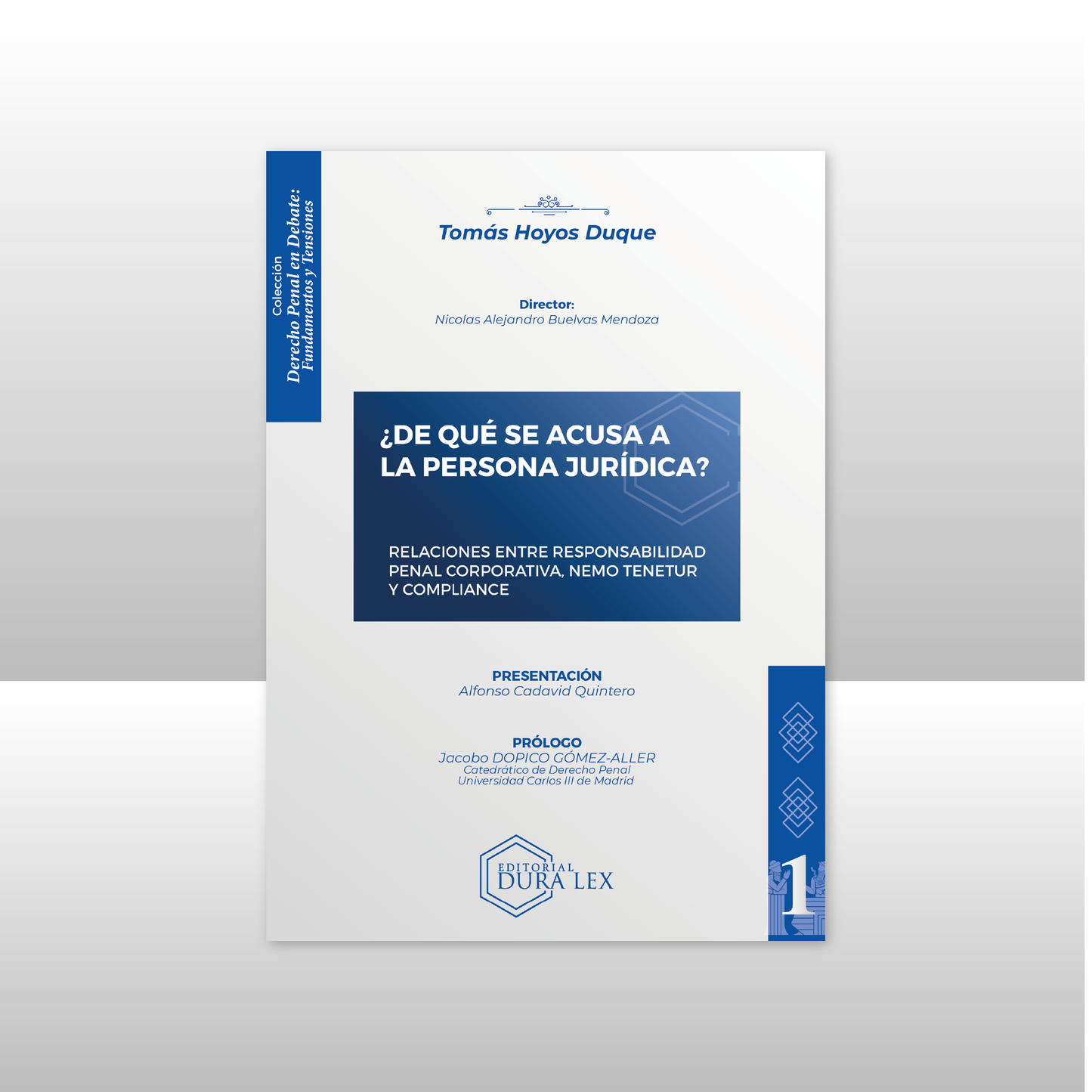 ¿DE QUE SE ACUSA A LA PERSONA JURÍDICA?