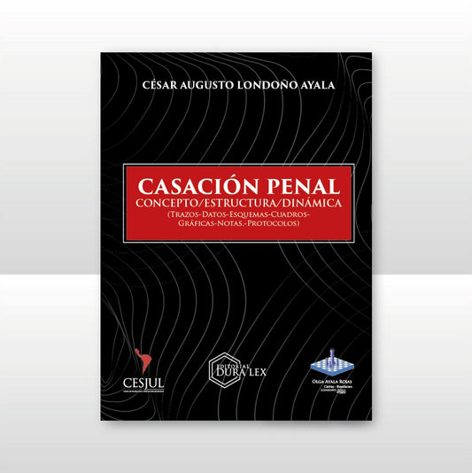 Casación Penal -Concepto/Estructura/Dinámica- (Trazos-Datos-Esquemas-Cuadros- Gráficas-Notas-Protocolos)